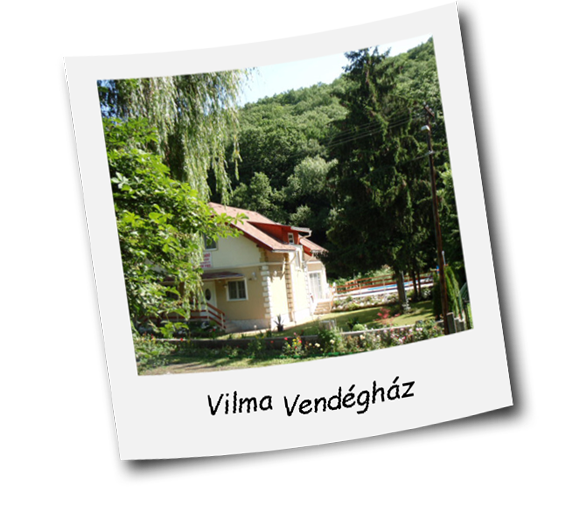 Vilma Vend�gh�z